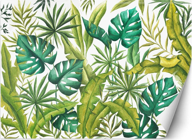 Carta-Da-Parati-Foglie-di-palma-verdi
