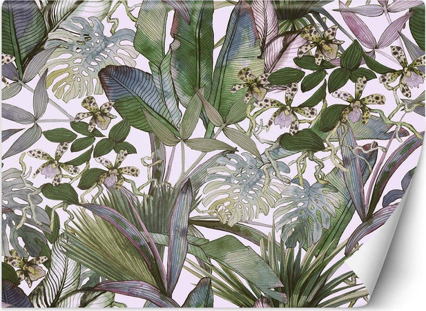 Carta-Da-Parati,-Monstera-e-foglie-tropicali