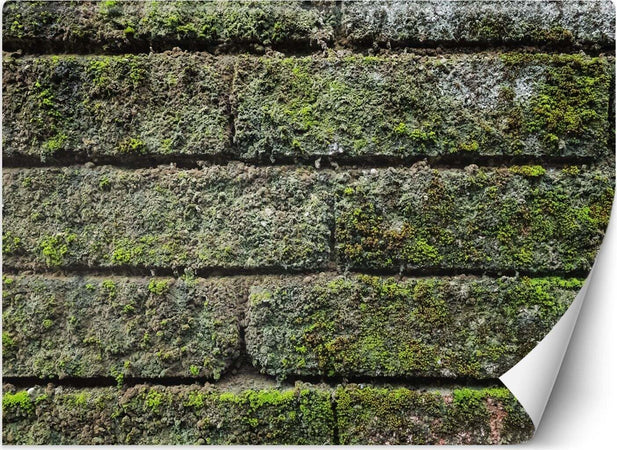 Carta-Da-Parati,-Muro-di-mattoni-vintage