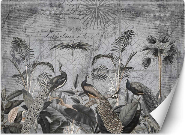 Carta-Da-Parati,-Pavoni-ai-tropici