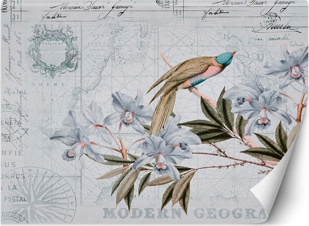 Carta-Da-Parati,-Shabby-chic-uccelli-fiori-foglie