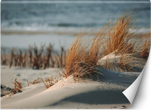 Carta-Da-Parati,-Spiaggia-mare-dune-paesaggio