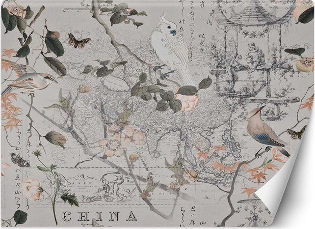 Carta-Da-Parati,-Vecchia-mappa-e-uccelli