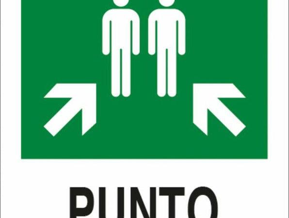 Cartello segnaletica punto di ritrovo 30x20