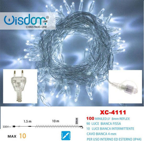 Catena-Luminosa-100luci-Led-Lucciole-Bianco-Fisso-+-Bianco-Intermittente-Xc-4111