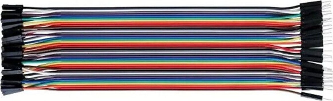 Cavo Dupont 40 Pin Maschio Femmina Lunghezza 20 Cm Ponticelli Arduino