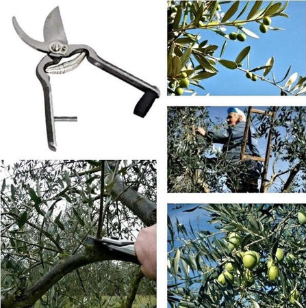 Cesoia-Forbici-Potatura-Giardino-Giardinaggio-Professionale-Lama-200-Mm