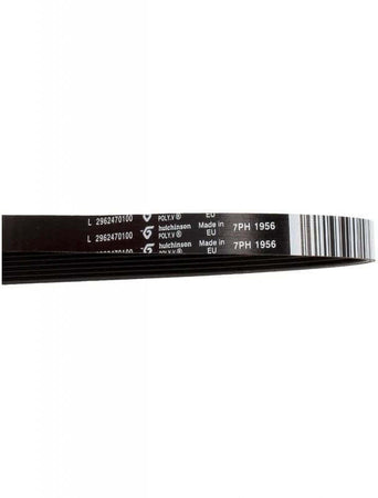 Cinghia Beko Lavatrice 2962470100