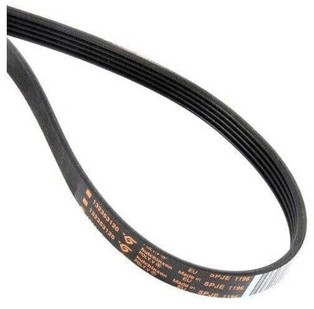 Cinghia Elastica per Lavatrice Electrolux Rex Zanussi Ricambi 1196 J5 EL ZWY1100