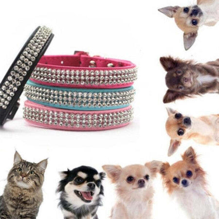 Collare-Con-Strass-Per-Cani-Cane-Gatti-Animali-Pet-Brillantini-Colori-Assortiti