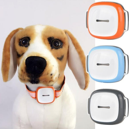 Collare-Localizzatore-Per-Cane-Gps-Tracker-Per-Animali-Bambini-Auto-Moto-Color