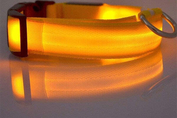 Collare-Luminoso-A-Led-Di-Sicurezza-Per-Cani-Con-Luce-Fissa-O-Lampeggiante