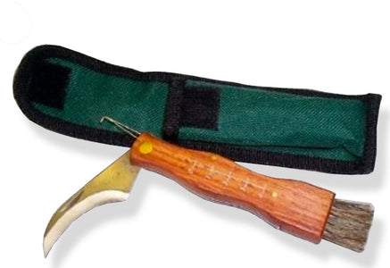 Coltellino per Funghi Con Custodia Da Cinta 13 X 2cm Coltellino Funghi Pieghevole Coltellino a Serramanico per Raccogliere Funghi e Tartufi Sport e tempo libero/Attività ricreative all'aperto/Camping e outdoor/Coltelli e attrezzi/Coltelli a serramanico Il Distintivo - Pesaro, Commerciovirtuoso.it