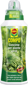 Concime liquido per piante Verdi da interno e da balcone fertilizzante per Felci 1 lt Giardino e giardinaggio/Giardinaggio/Fertilizzanti e concimi/Fertilizzanti per vegetali La Zappa - Altamura, Commerciovirtuoso.it