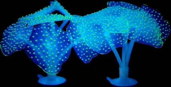 Corallo-Finto-In-Silicone-Blu-Artificiale-Per-Decorazioni-Acquario-Addobbi-Pesci