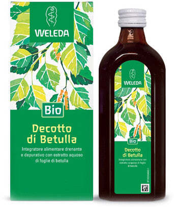 Decotto di betulla 250ml