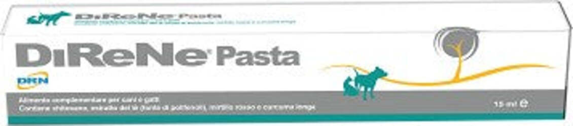 DIRENE-PASTA-15-ML