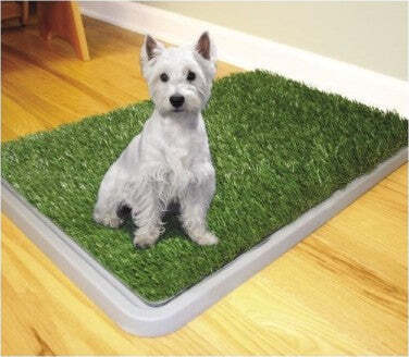 Dog-Toilette-Cani-Potty-Patch-Lettiera-Wc-Lavabile-3-Strati-Bisogni-Animali-43-X-68-Cm