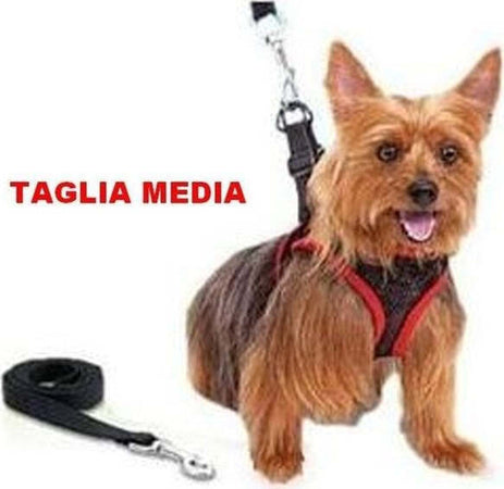 Elegante Pettorina E Guinzaglio Regolabile Per Cane Comfy Control Taglia Media Prodotti per animali domestici/Cani/Collari imbracature e guinzagli/Imbracature/Imbracature con pettorina Trade Shop italia - Napoli, Commerciovirtuoso.it