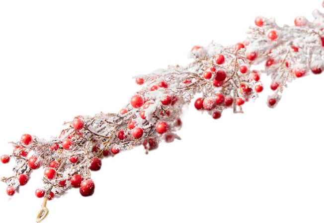 Festone con bacche e punte innevate ghirlanda decorativa color rosso e bianco da 183 cm Casa e cucina/Decorazioni per interni/Addobbi e decorazioni per ricorrenze/Decorazioni natalizie/Orpelli e festoni MagiediNatale.it - Altamura, Commerciovirtuoso.it
