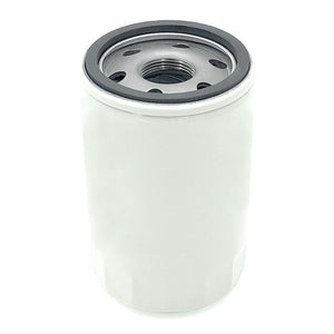 Filtro olio fuoribordo motore Mercury 35877769K01/