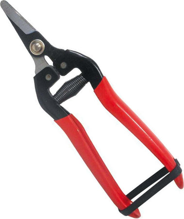 Forbice cogliuva per vendemmia con lama dritta da 16 cm Fai da te/Utensili elettrici e a mano/Attrezzi da giardinaggio/Forbici e cesoie per potatura La Zappa - Altamura, Commerciovirtuoso.it