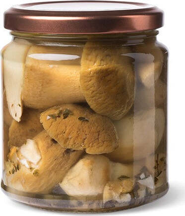 Funghi-Porcini