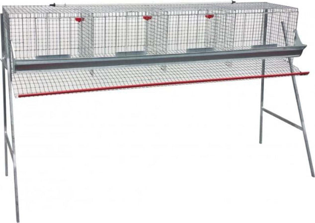Gabbia zincata per galline ovaiole ad 1 piano con mangiatoia ed abbeveratoio Commercio Industria e Scienza/Attrezzature e forniture agricole/Pollame piccioni e selvaggina/Attrezzature per pollaio/Pollai e gabbie La Zappa - Altamura, Commerciovirtuoso.it