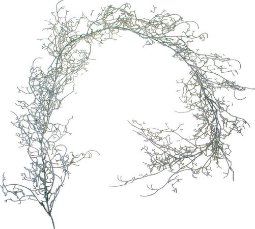 Ghirlanda Tillandsia con Glitter corona natalizia, dietro porta da 170 cm Casa e cucina/Decorazioni per interni/Addobbi e decorazioni per ricorrenze/Decorazioni natalizie/Orpelli e festoni MagiediNatale.it - Altamura, Commerciovirtuoso.it
