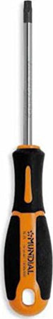 GIRAVITI-PER-VITI-TORX-CON-FORO-TX40x125