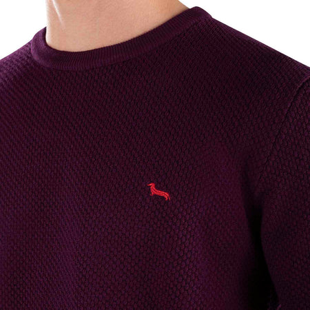 Harmont-&-Blaine-Maglie-Viola-da-uomo