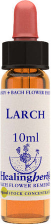 Healing-Herbs-Larch-10-ml-Fiore-di-Bach