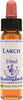 Healing-Herbs-Larch-10-ml-Fiore-di-Bach