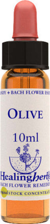 Healing-Herbs-Olive-10-ml-Fiore-di-Bach