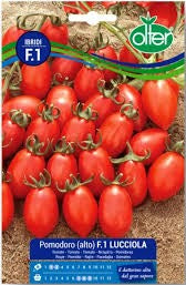 Pomodoro Lucciola F1