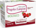 Infuso Gusto Fragola E Lampone Biologico Sandemetrio Confezione18 Filtri Infuso Senza Zuccheri Aggiunti Bio Alimentari e cura della casa/Caffè tè e bevande/Tè e tisane/Infusi e tisane alle erbe Non solo alimenti - Albano Laziale, Commerciovirtuoso.it