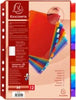 Intercalari neutri - PPL - A4 - trasparente - 12 posizioni - Exacompta Cancelleria e prodotti per ufficio/Archivio ufficio e accessori per scrivania/Archivio ufficio/Cartelle sospese e accessori/Indici per cartelle sospese Eurocartuccia - Pavullo, Commerciovirtuoso.it
