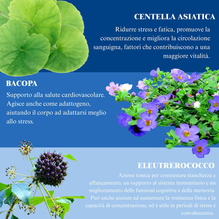 Torogum Integratore Sessuale Chewing Gum Erezione Pene Extra Forte Maca per Uomo Tribulus 60pz