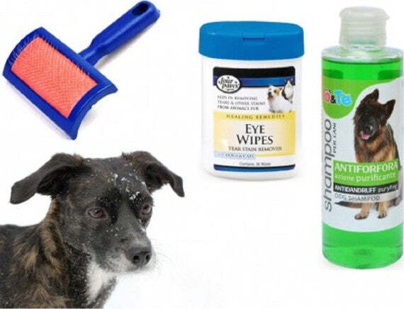 Kit-Pulizia-Cani-Shampoo-Azione-Purificante-Salviettine-Spazzola-Cardatore-Antiforfora