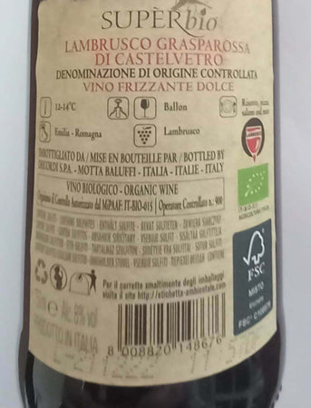 WhatsApp Image 2024-10-06 at 15.48.54