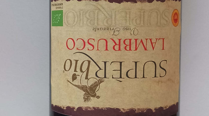 WhatsApp Image 2024-10-06 at 15.48.52