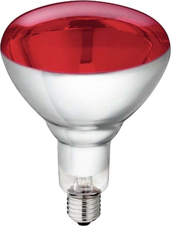 Lampada ad infrarossi riscaldante per riflettore pulcini e cuccioli 150 w Commercio Industria e Scienza/Attrezzature e forniture agricole/Pollame piccioni e selvaggina/Attrezzature per gestione delle uova/Incubatrici La Zappa - Altamura, Commerciovirtuoso.it
