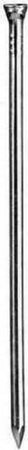 MASIDEF-CONNEX-CHIODI-PER-BATTATTISCOPA-ZINCATI-mm-1,4x25-PZ.80