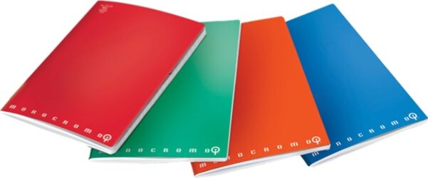 Maxiquaderno Monocromo - A4 - quadretti e righe intelligenti - 38 fogli - 100gr - Pigna Cancelleria e prodotti per ufficio/Scuola e materiale didattico/Materiale scolastico/Diari quaderni e block notes Eurocartuccia - Pavullo, Commerciovirtuoso.it