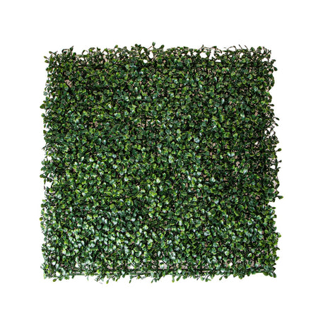 Mattonella "Dicondra" da parete, color verde da 50 x 50 cm