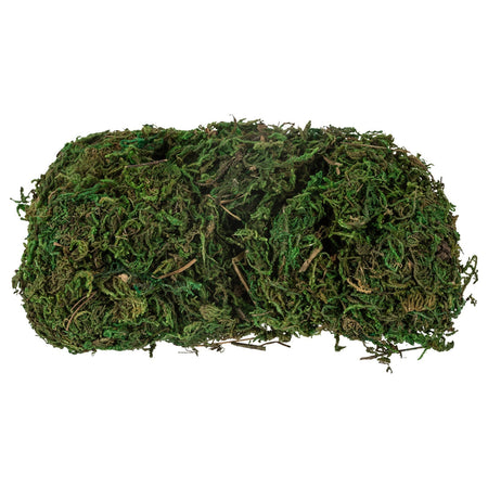 Muschio in bustine per presepe decorazione natalizia da 100 g