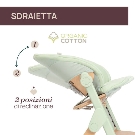 04087149160000_416_087149_416_MERAVIGLIA_Olive_IT4_1280x1280