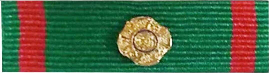 Nastrino Da Petto Ufficiale Repubblica per Uniforme Militare Sport e tempo libero/Accessori/Trofei medaglie e premi/Medaglie Il Distintivo - Pesaro, Commerciovirtuoso.it