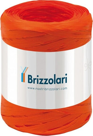 Nastro Rafia sintetica - arancione 12 - 5mmx200mt - Brizzolari Casa e cucina/Decorazioni per interni/Addobbi e decorazioni per ricorrenze/Decorazioni natalizie/Fiocchi e nastri Eurocartuccia - Pavullo, Commerciovirtuoso.it