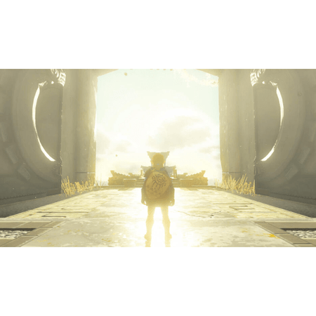 The Legend Of Zelda Tears Of The Kingdom SWITCH IT